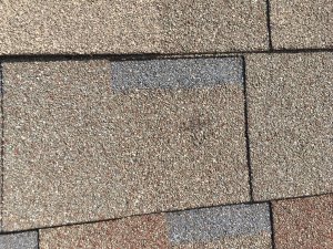Hail damaged shingle found by Yates Roofing and Construction in Yukon